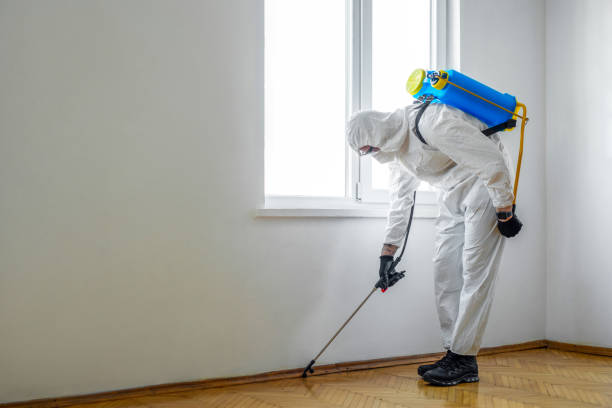 Best Real Estate Pest Inspections  in Carlinvle, IL